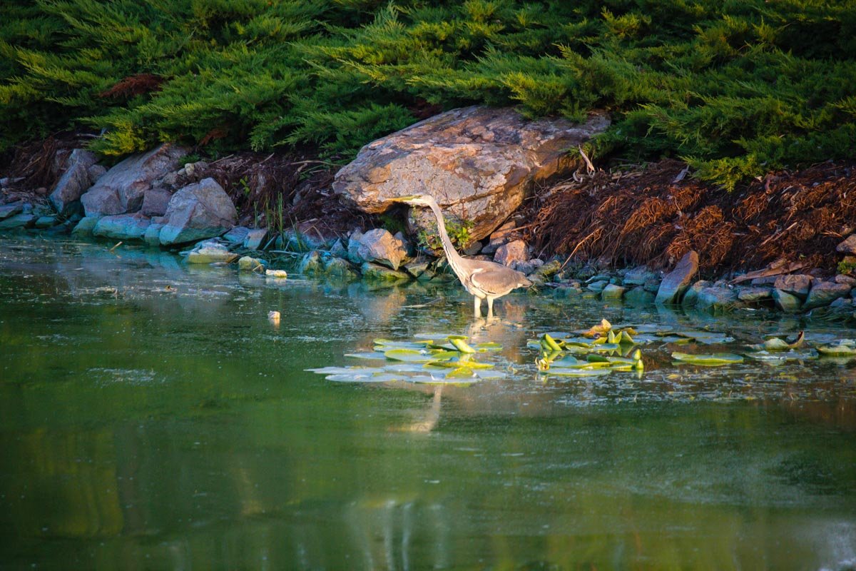 Как выглядит яхт-клуб и искусственная коса на Победе с высоты птичьего полета 2