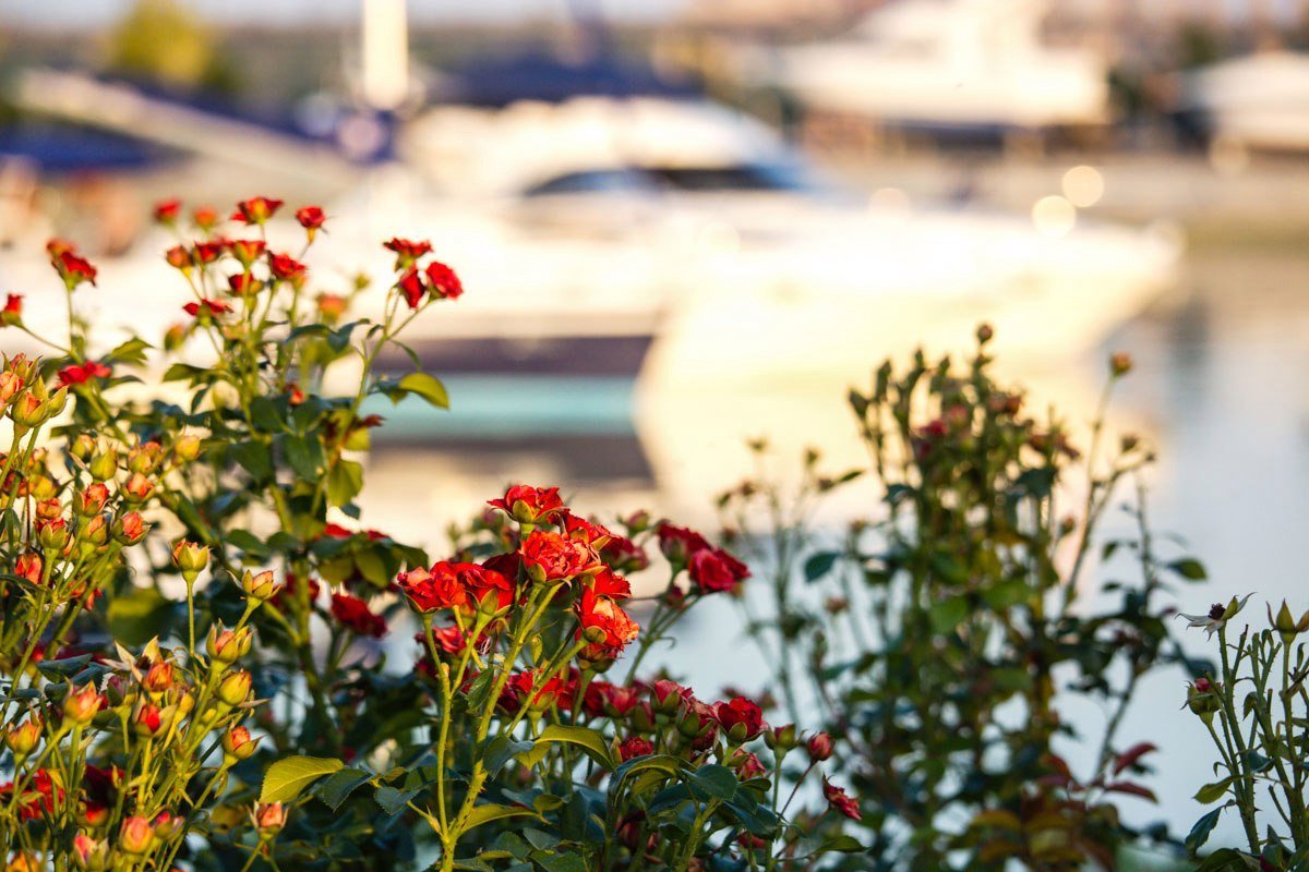 Как выглядит яхт-клуб и искусственная коса на Победе с высоты птичьего полета 7