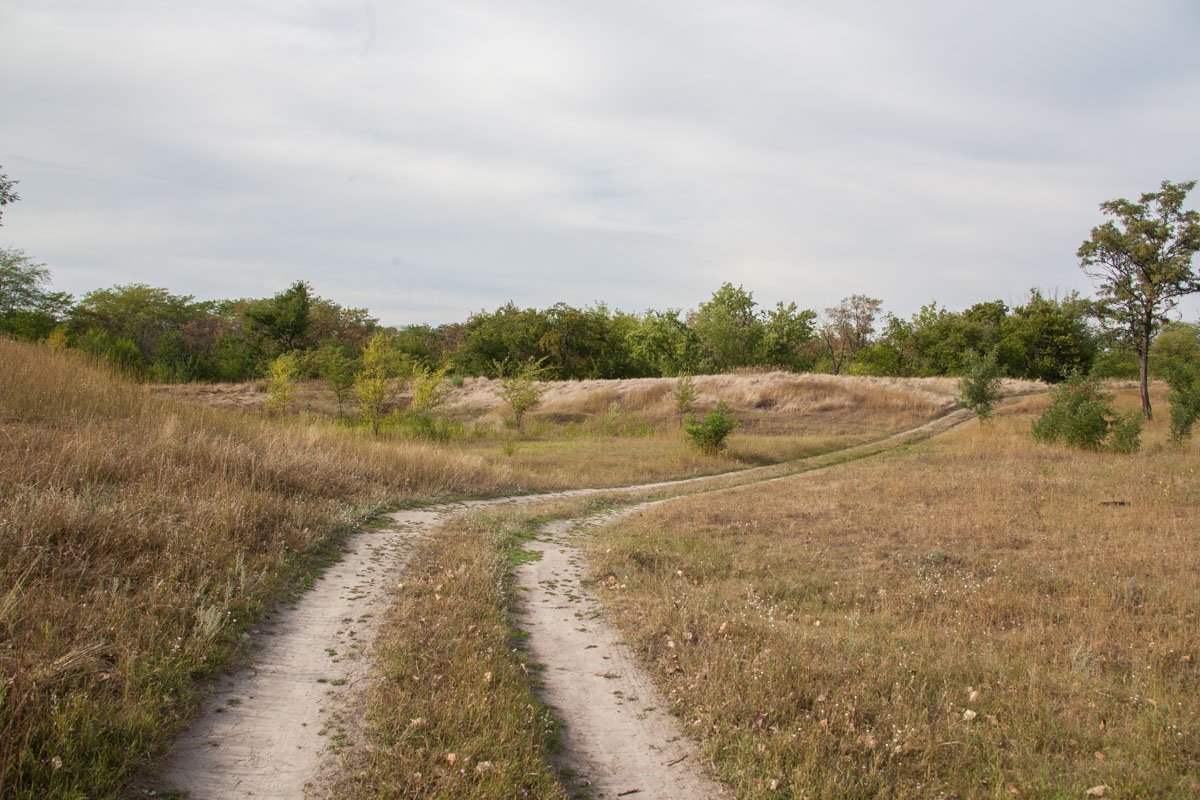 Раскопки древней крепости: что ищут археологи в Днепре 1