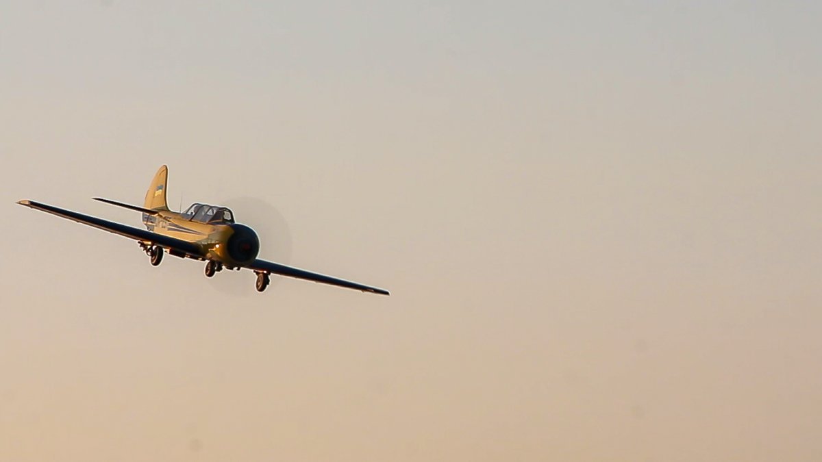 На День города в Днепре прошли авиа и водное шоу 6