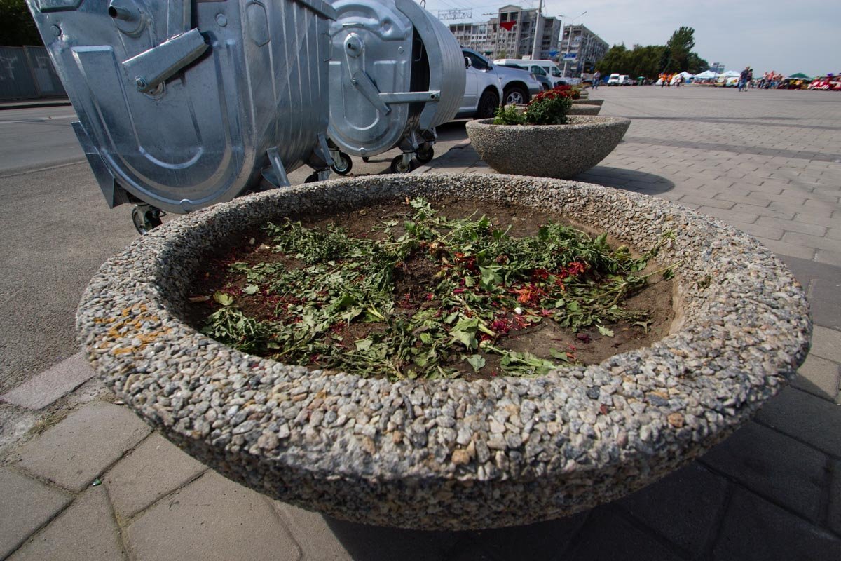 Днепр после Дня города: фотографии с улиц 4