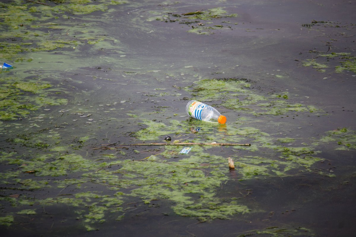 Днепр после Дня города: фотографии с улиц 6