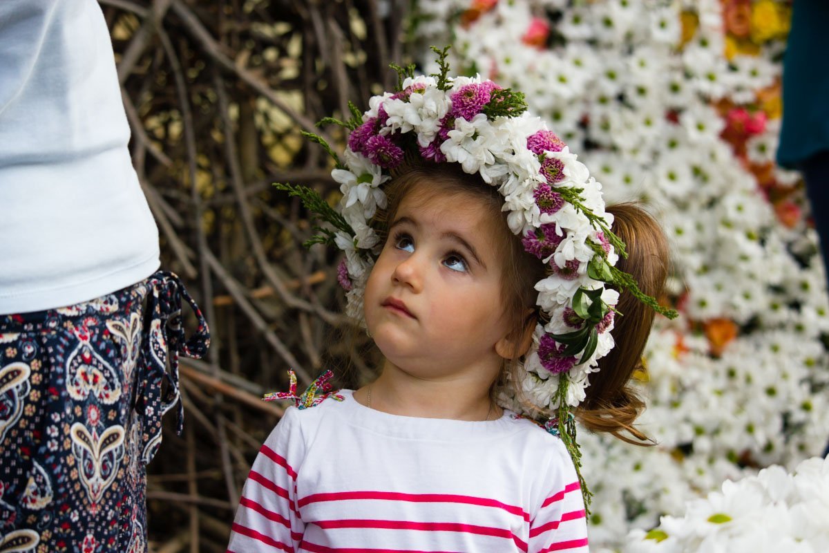 Dnipro Flower Show-2017: много цветов и счастливых лиц 12