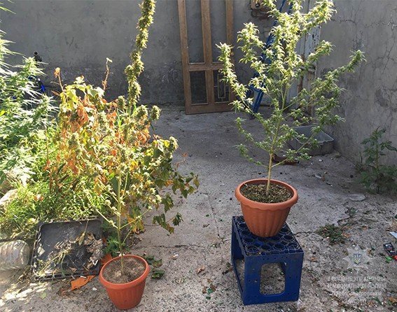 В Днепре мужчина попытался откупиться от полиции за $1000 4