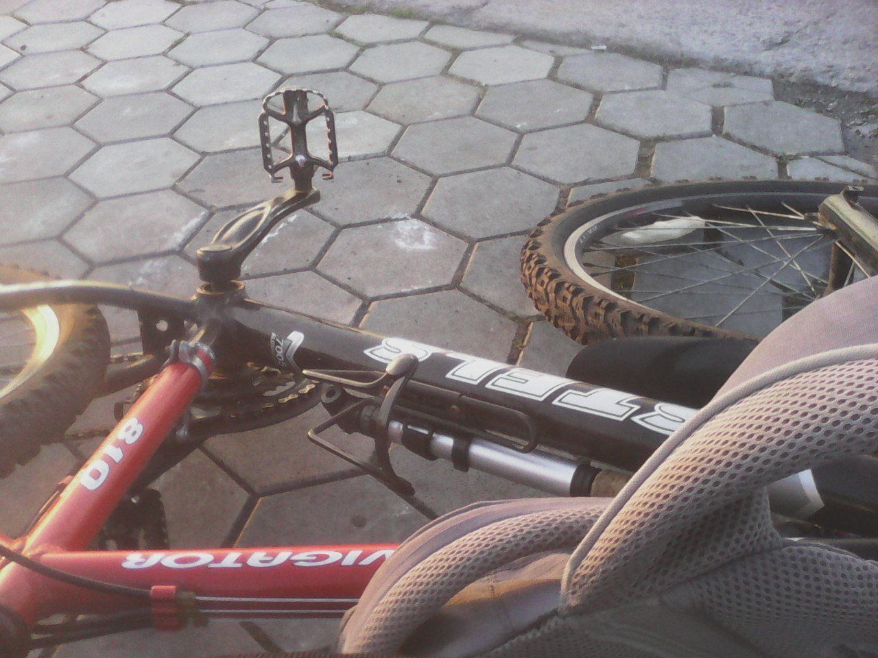 В центре Днепра мужчина угнал велосипед - и стал звездой интернета 1