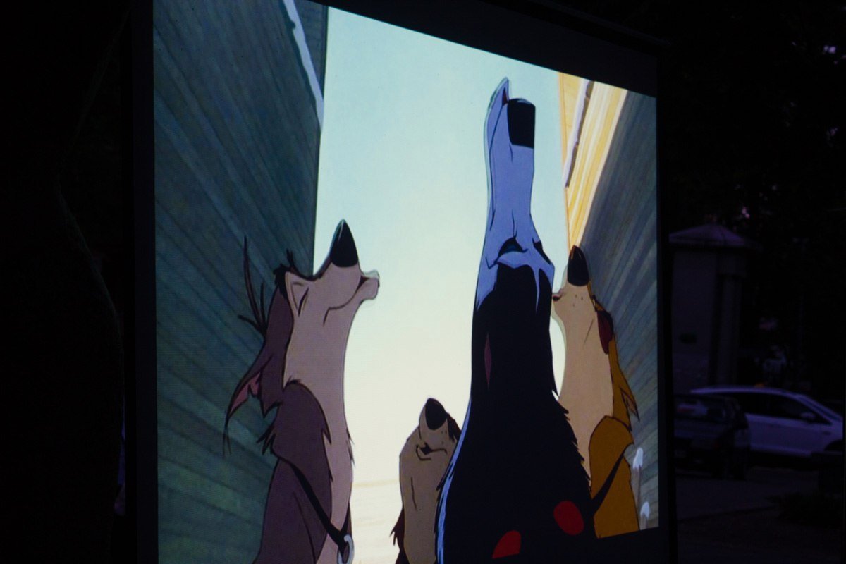 В сквере Героев под открытым небом показали мультфильм 3