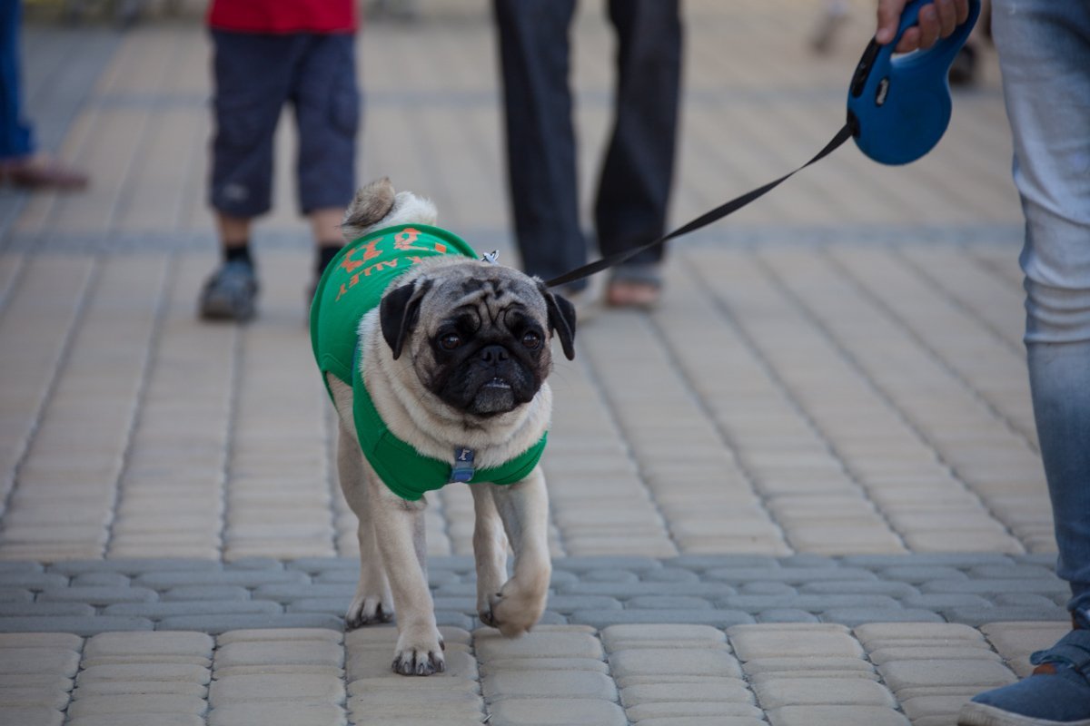 Звезда смерти, штурмовики и самый большой спиннер: как в Днепре прошел первый день Interpipe TechFest 25