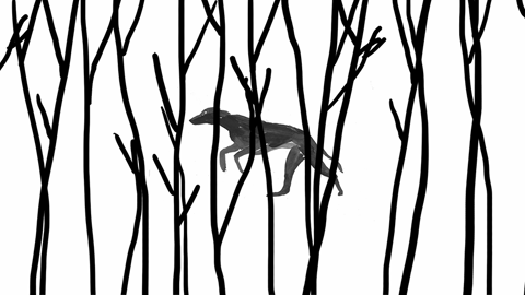 Анимация для взрослых: художник из Днепра рассказал о своем новом мультфильме 4