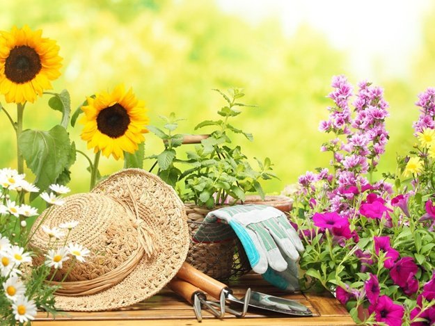 20 сентября в Днепре: куда пойти сегодня 1