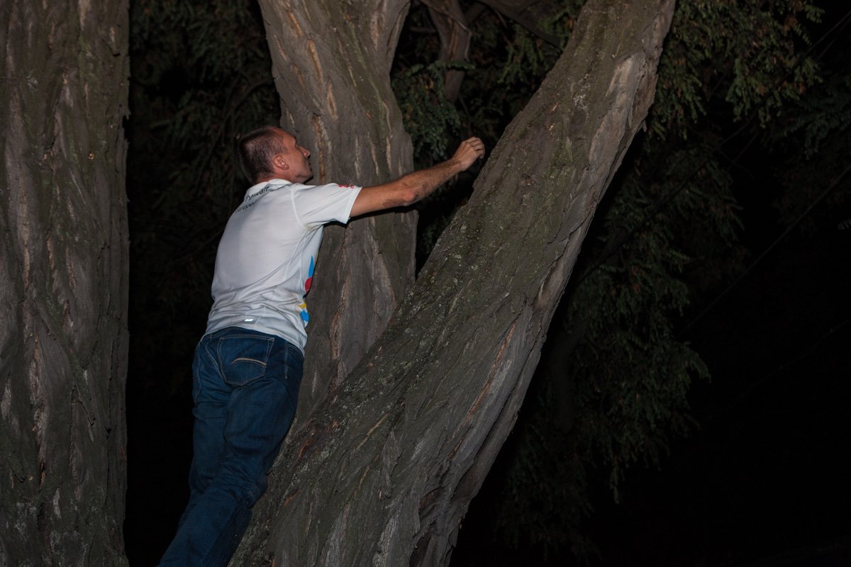 На полицейском авто к ветеринару: как в Днепре спасали котенка 3