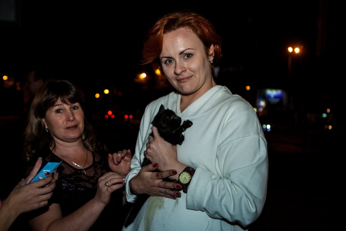 На полицейском авто к ветеринару: как в Днепре спасали котенка 5