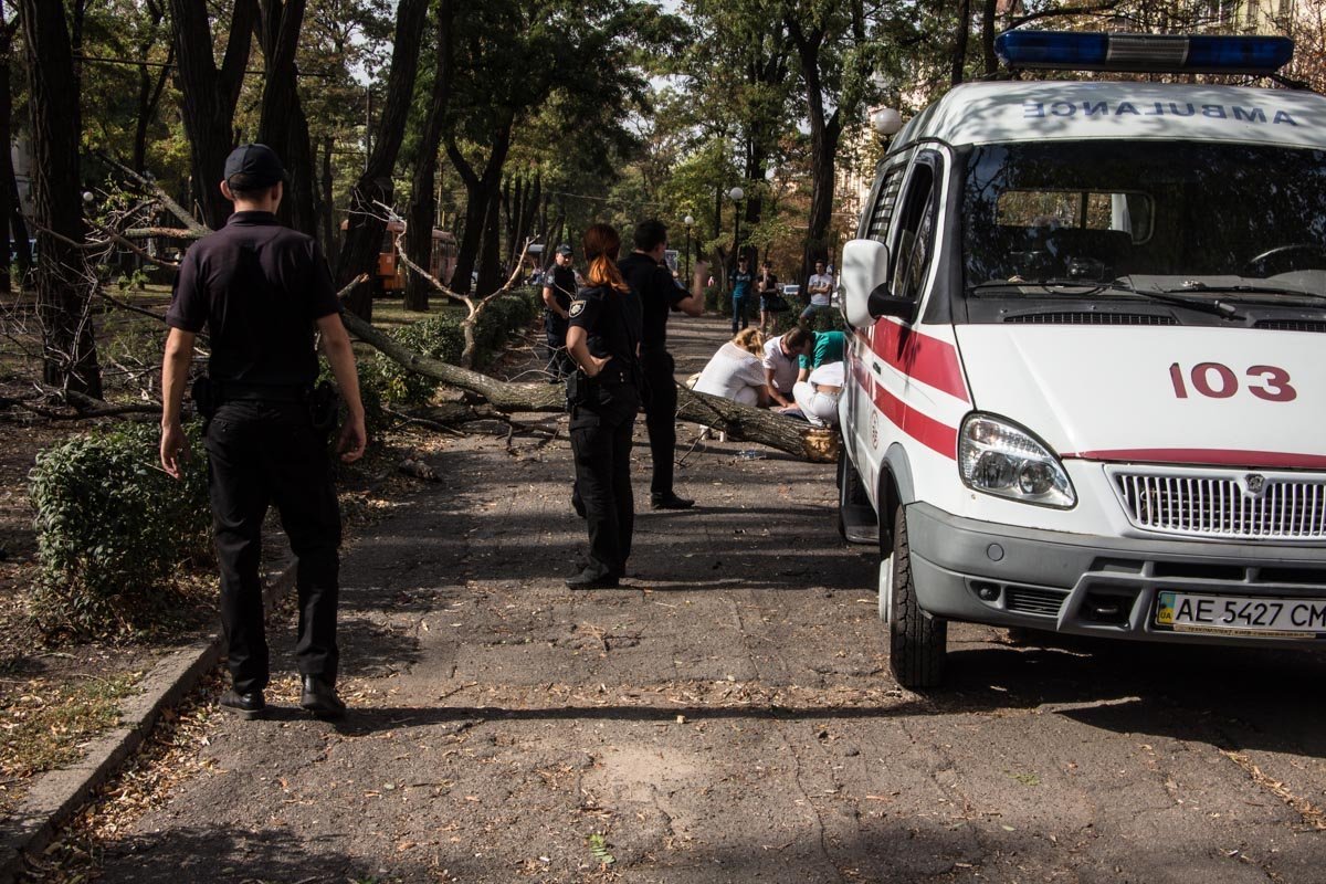 В центре Днепра от упавшей ветки погибла девушка 2