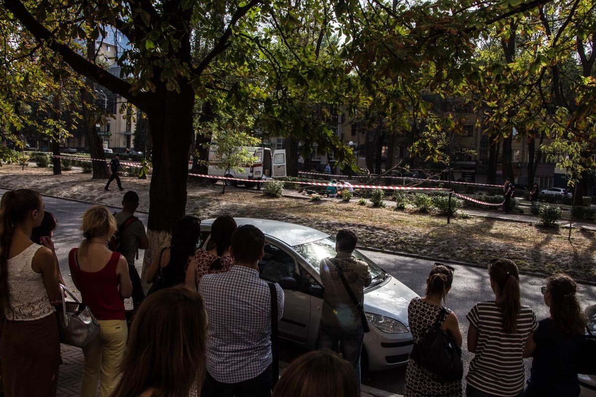 В центре Днепра от упавшей ветки погибла девушка 5