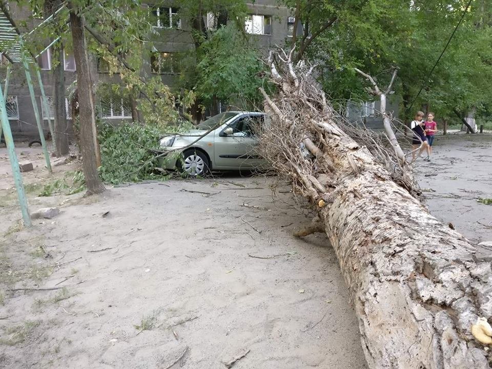 На Котляревского дерево раздавило Renault 4