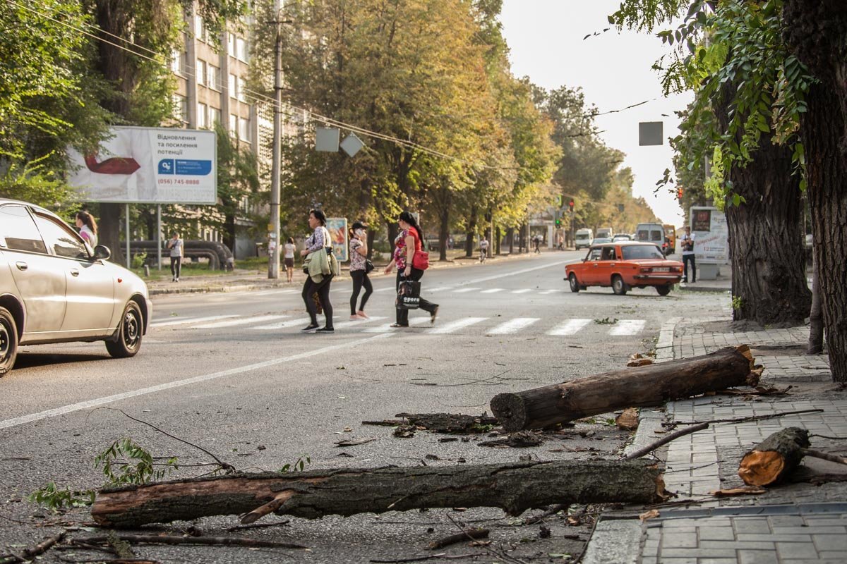 Шквальный ветер и поваленные деревья: Днепр накрыла непогода 2