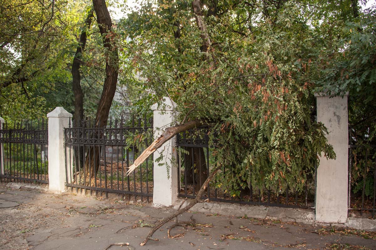 Шквальный ветер и поваленные деревья: Днепр накрыла непогода 3