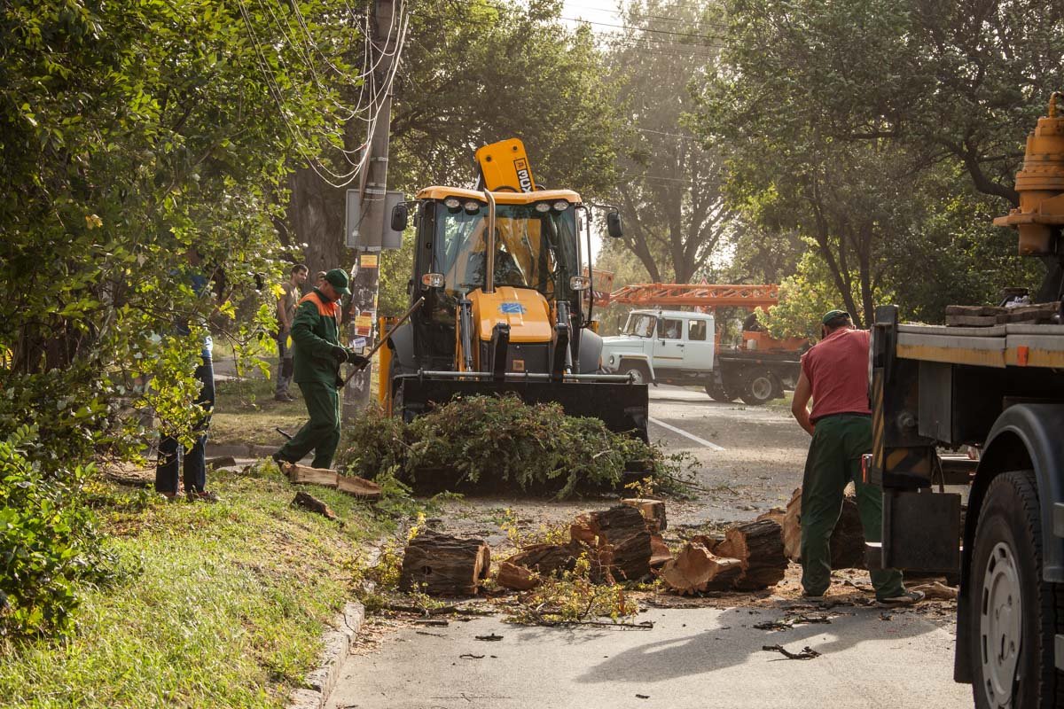 Шквальный ветер и поваленные деревья: Днепр накрыла непогода 4