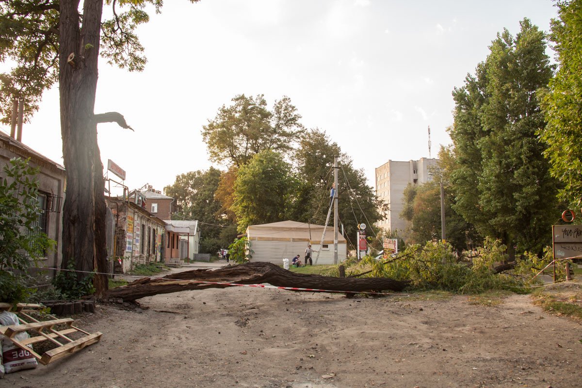 Шквальный ветер и поваленные деревья: Днепр накрыла непогода 6