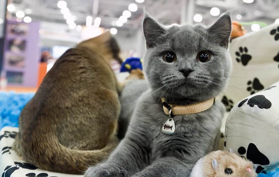 23 сентября: куда пойти сегодня в Днепре 3