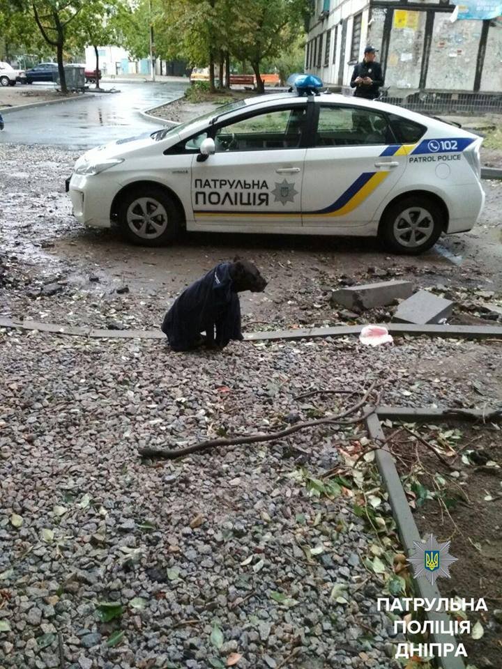 Минутка добра: патрульные помогли мужчине найти его собаку 2