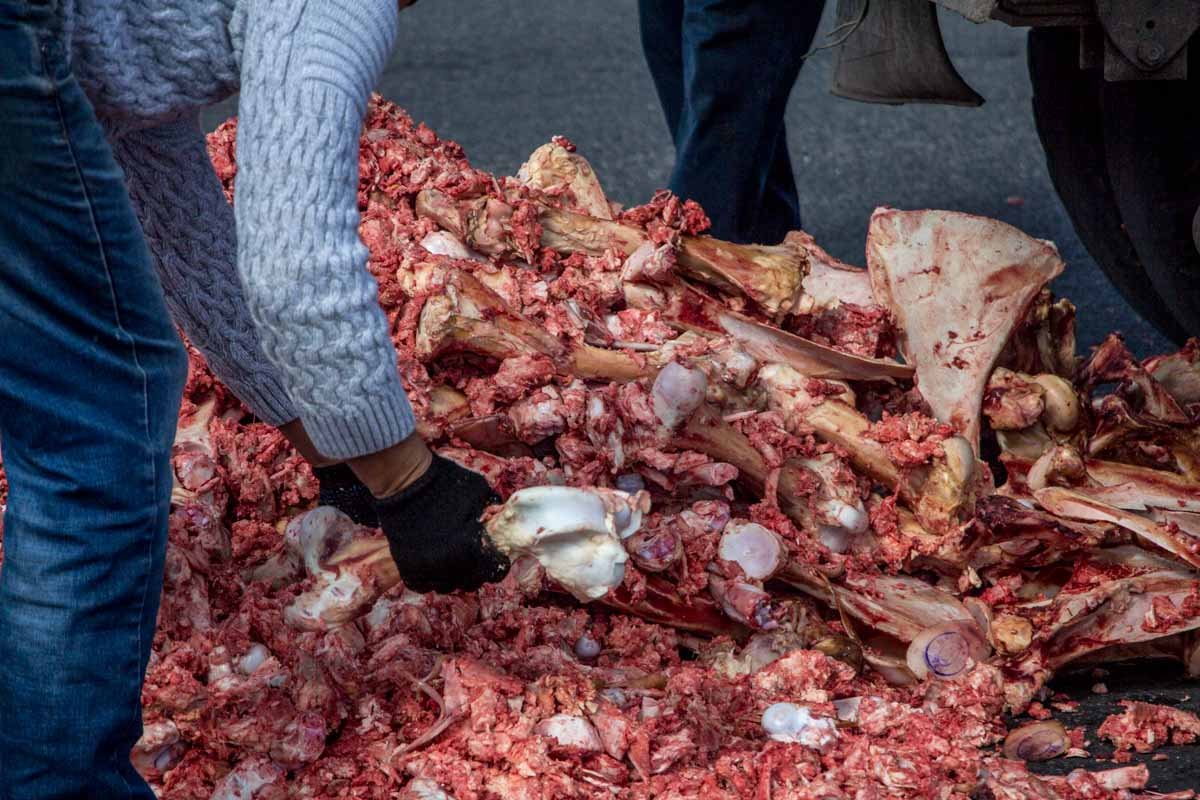 В Днепре грузовик засыпал дорогу кровавыми костями 4