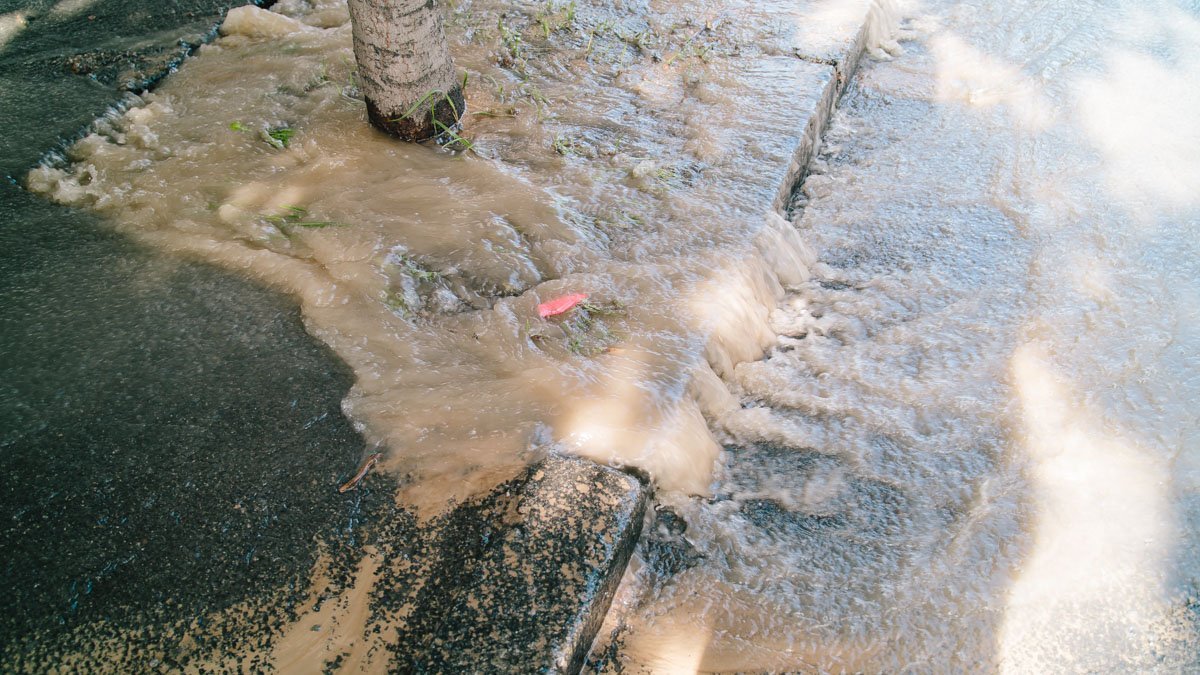 В центре Днепра из-под земли течет вода 6