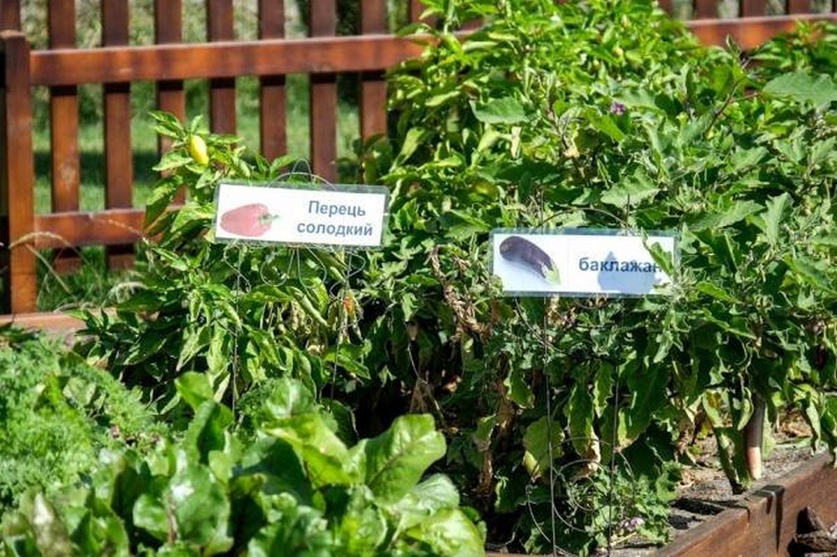 Как выглядит государственный детский садик под Днепром 3