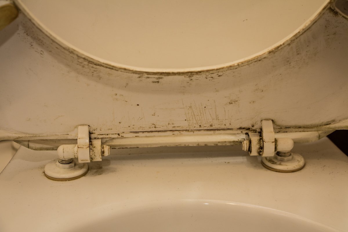 Проверено Информатором: ревизия в "Дамодаре" 13