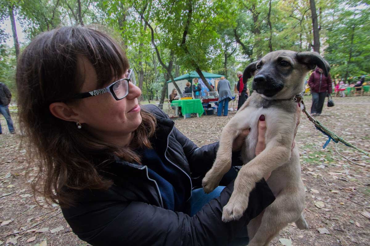 Мы в ответе за тех, кого приручили: в Днепре прошла благотворительная выставка собак "Кубок Верности" 5
