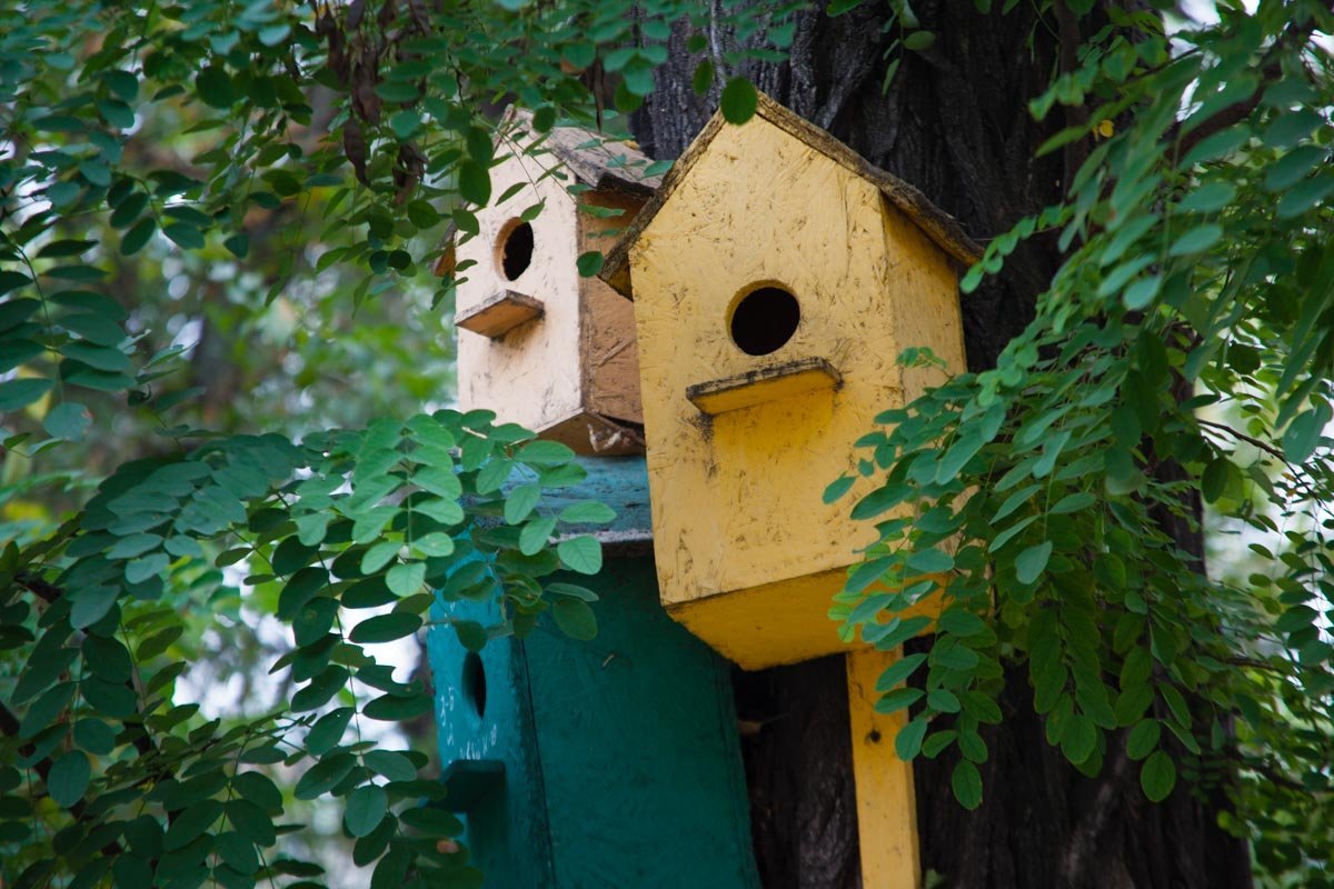 Солнце, каштаны и желтые листья: как выглядит Днепр в последние теплые дни осени 4