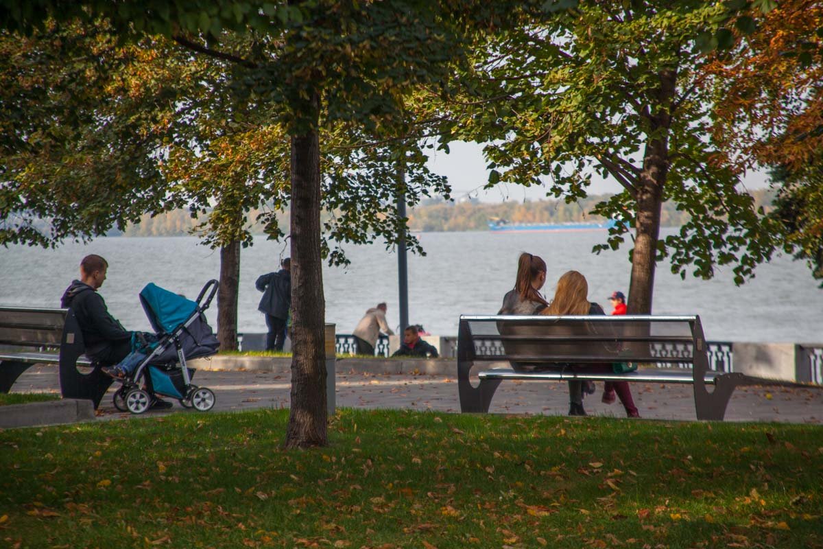 Солнце, каштаны и желтые листья: как выглядит Днепр в последние теплые дни осени 14