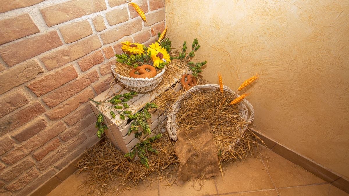 Пиво и сороконожки: ревизия новой пивоварни "Старгород" 11