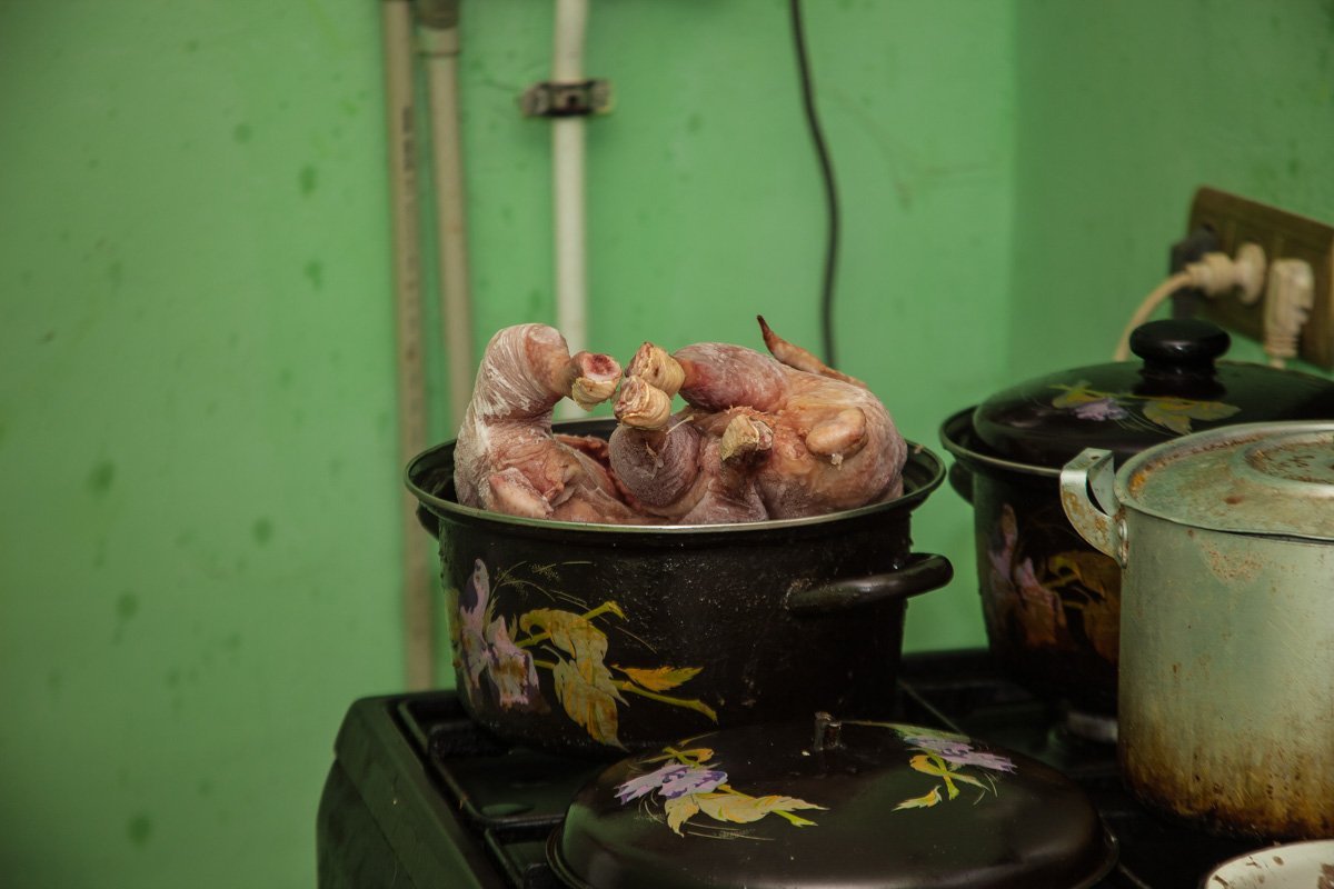 Они тоже хотят в семью: как в приюте Днепра живут брошенные животные 21