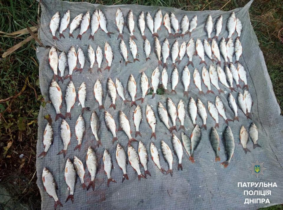 В Днепре задержали несовершеннолетнего браконьера 2