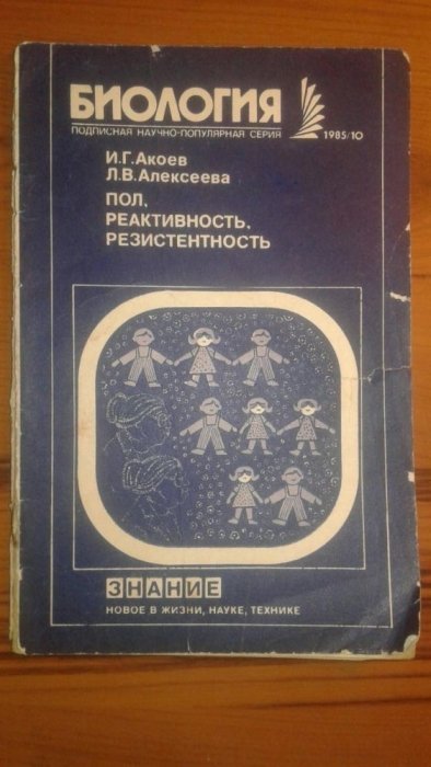 Брехунец, пианино и черные туфли для принцессы: ТОП вещей за бесценок в Днепре 1