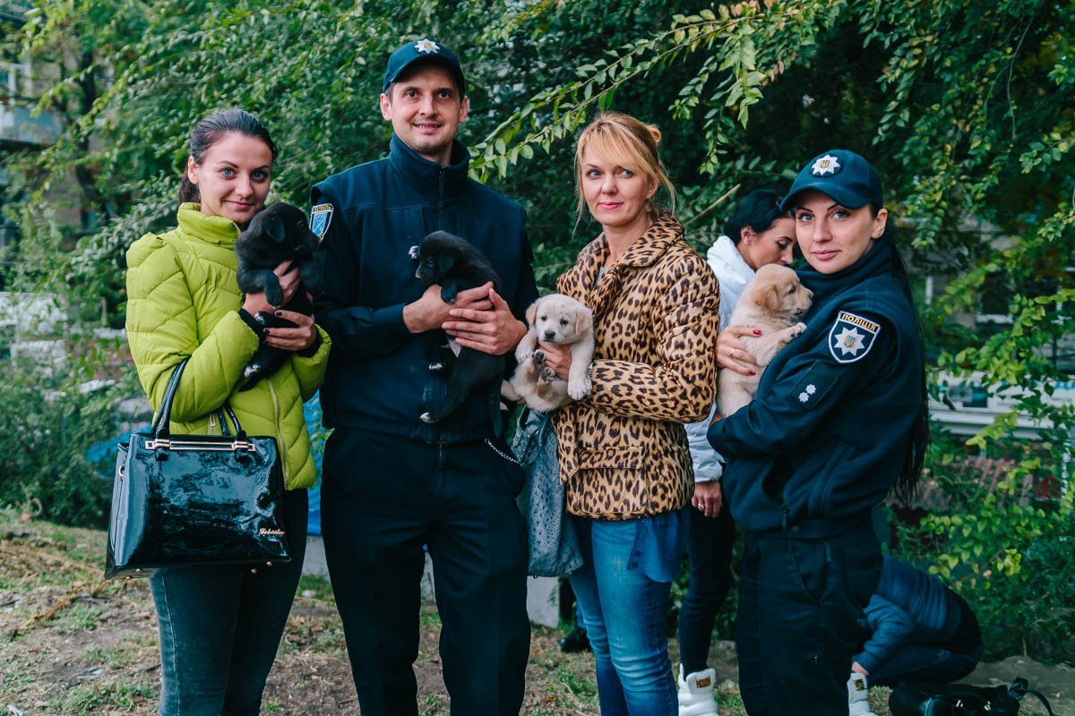 Операция "Спаси жизнь хвостатому": как журналисты и полиция помогают бездомным животным Днепра 1