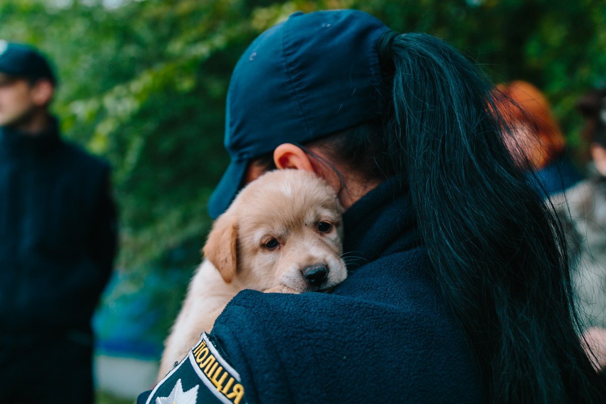 Операция "Спаси жизнь хвостатому": как журналисты и полиция помогают бездомным животным Днепра 3
