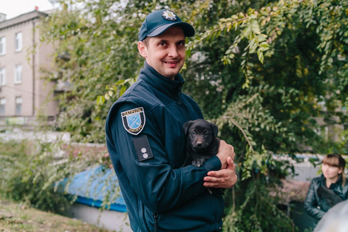 Операция "Спаси жизнь хвостатому": как журналисты и полиция помогают бездомным животным Днепра 4