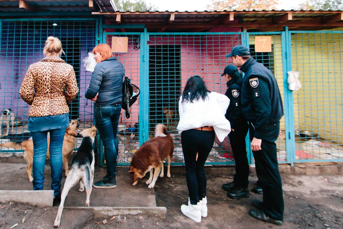 Операция "Спаси жизнь хвостатому": как журналисты и полиция помогают бездомным животным Днепра 8