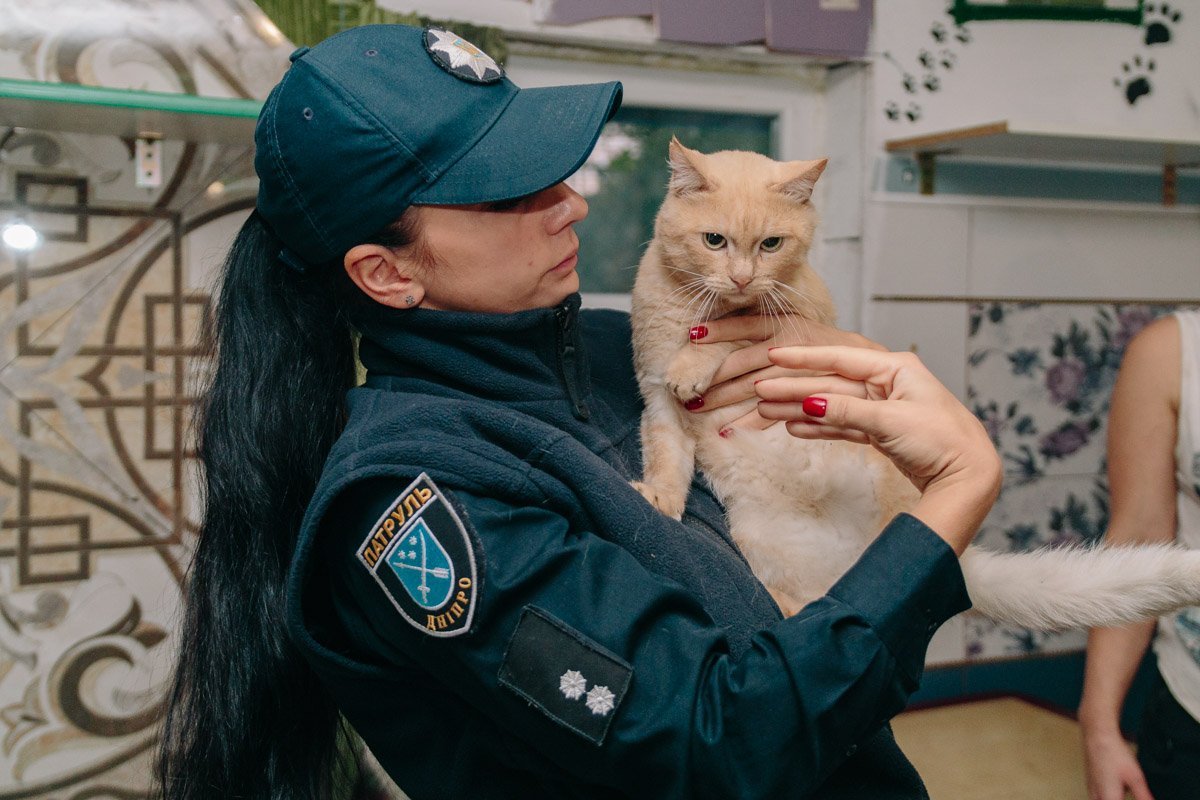 Операция "Спаси жизнь хвостатому": как журналисты и полиция помогают бездомным животным Днепра 13