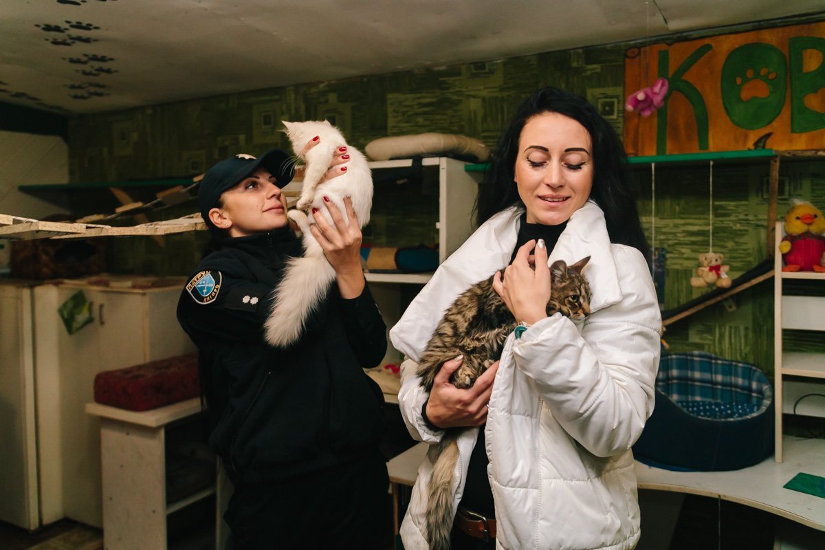 Операция "Спаси жизнь хвостатому": как журналисты и полиция помогают бездомным животным Днепра 16