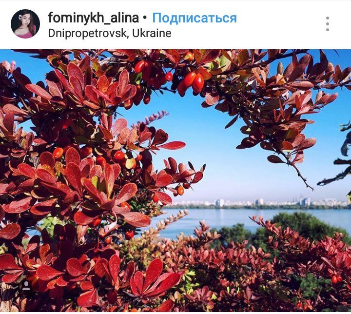 ТОП самых красивых фотографий Днепра из Instagram 4