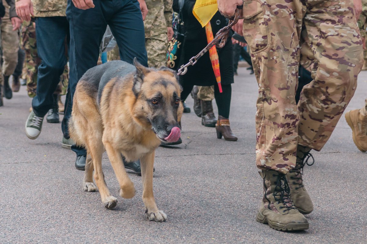 В Днепре состоялся Марш защитников Украины 26