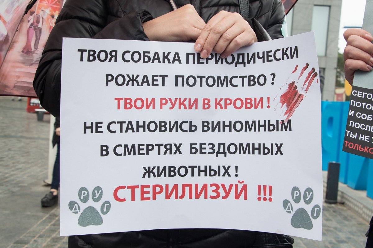 В центре Днепра горожане вышли на марш за права животных 3