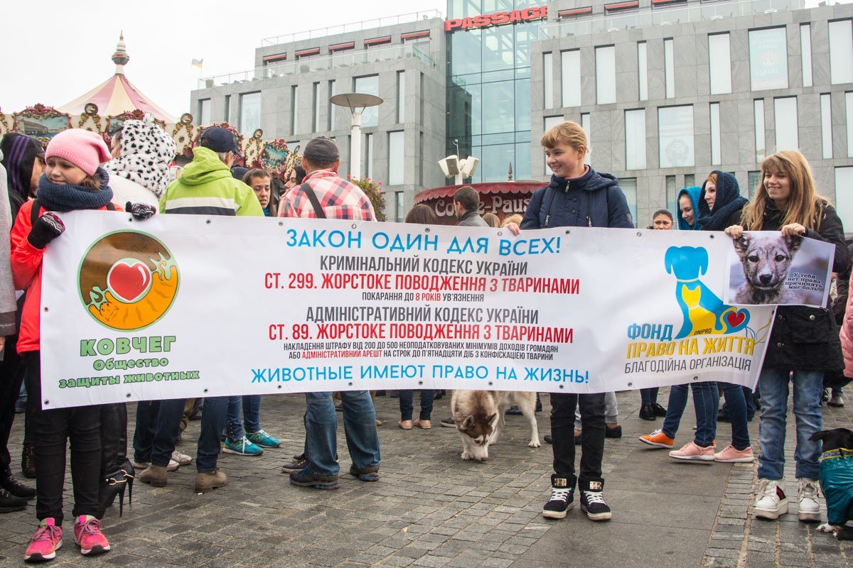 В центре Днепра горожане вышли на марш за права животных 10
