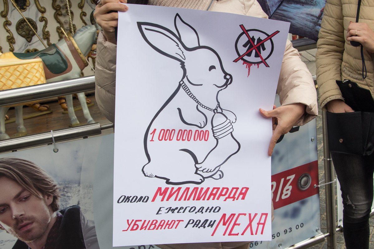 В центре Днепра горожане вышли на марш за права животных 22
