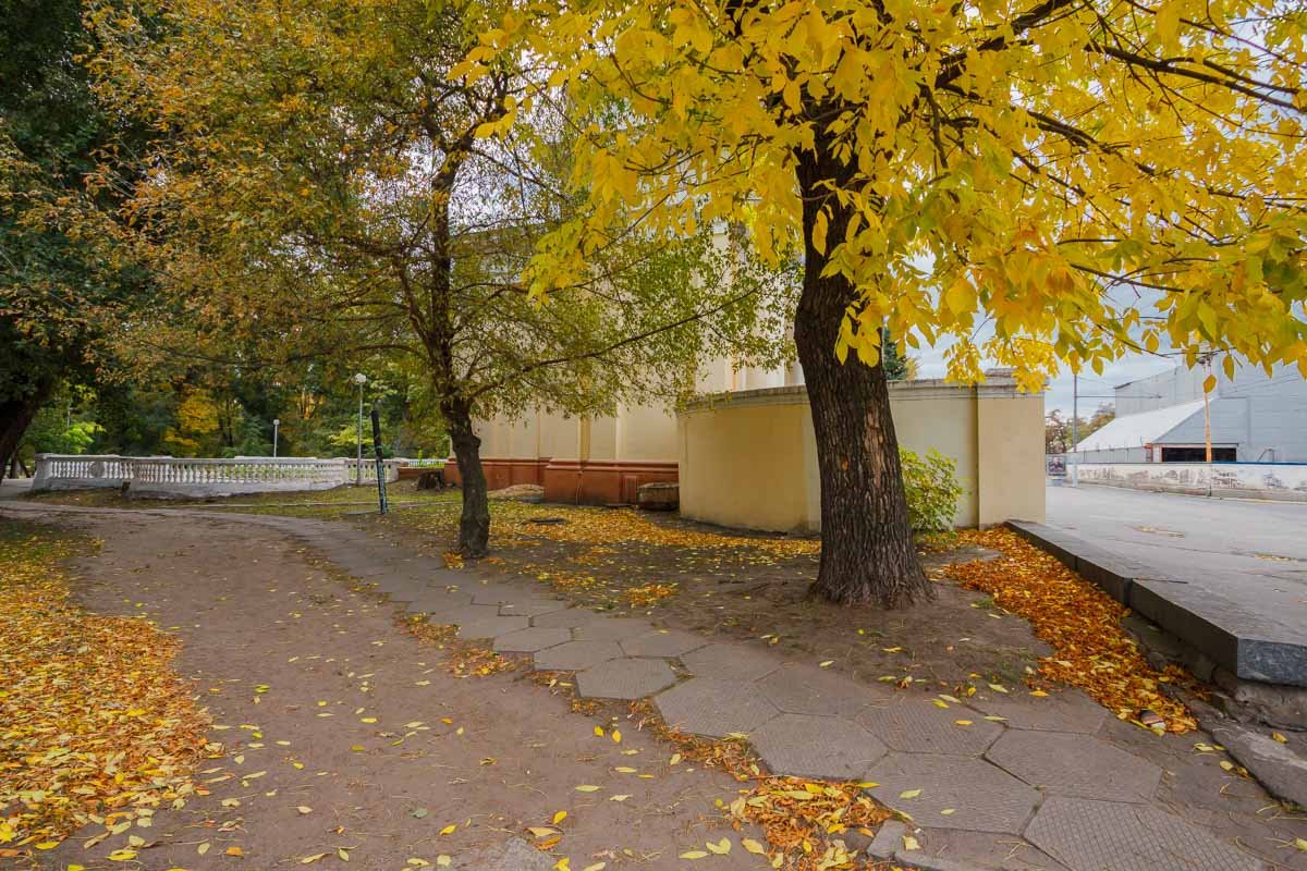 Яркие краски в пасмурный день: как жители Днепра провели праздничные выходные 2