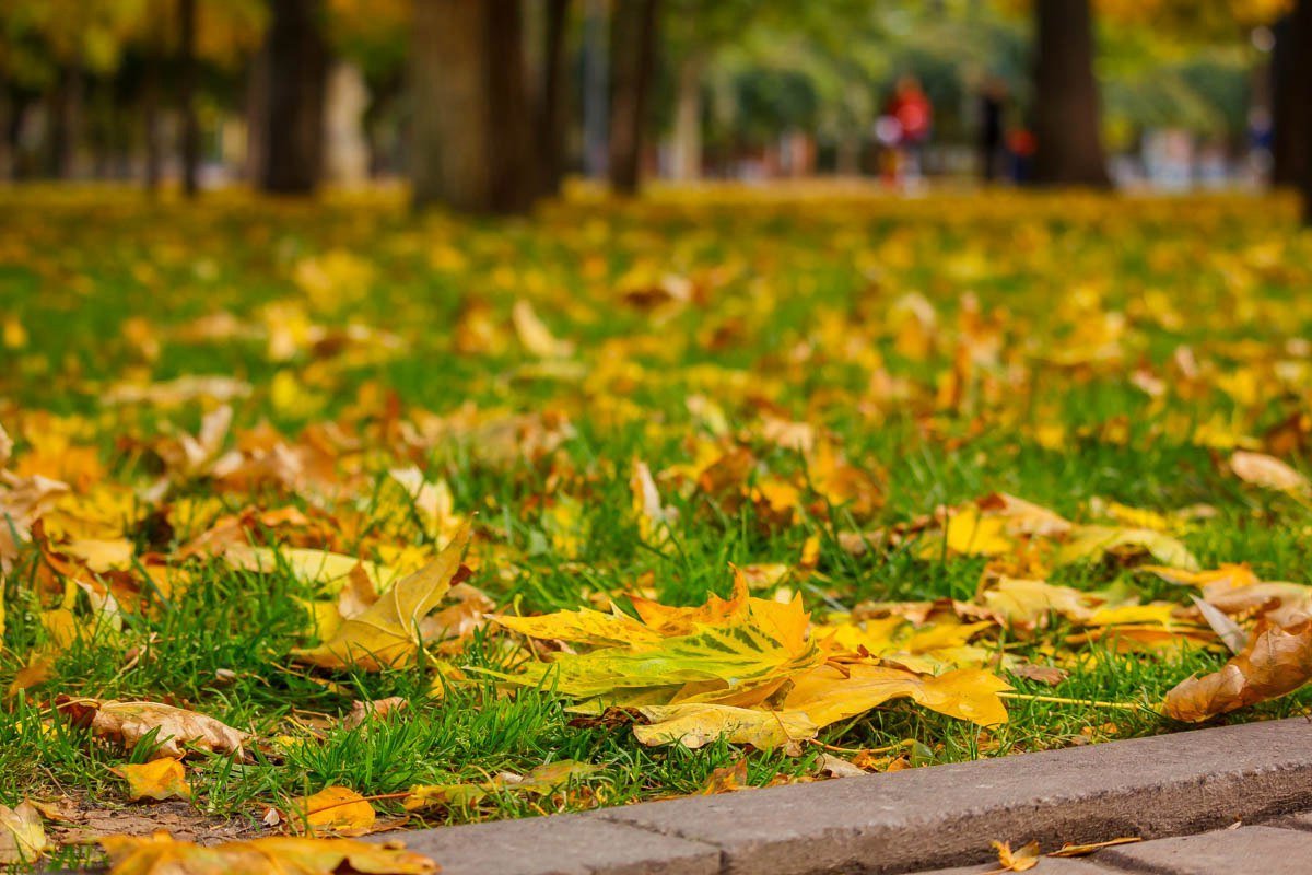 Яркие краски в пасмурный день: как жители Днепра провели праздничные выходные 4