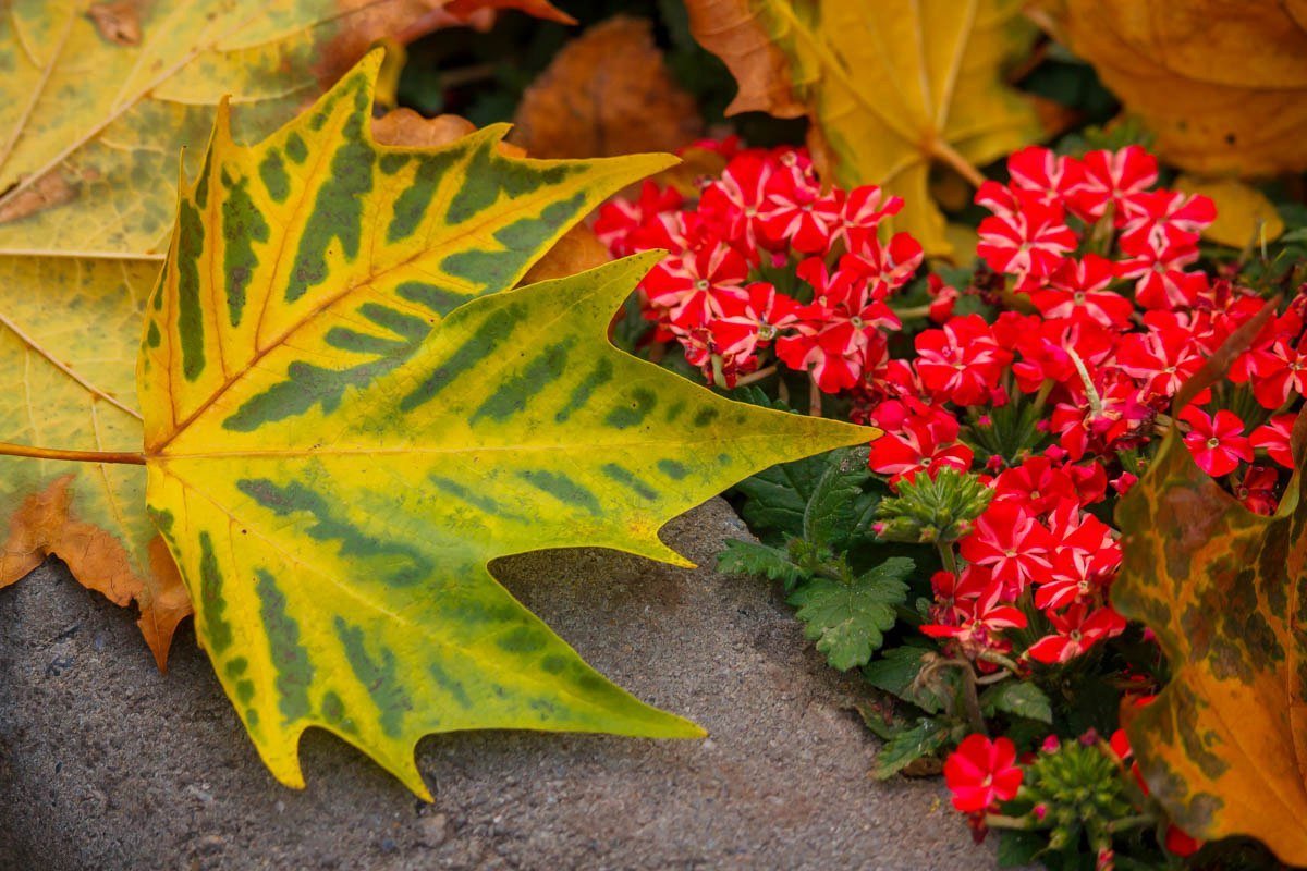 Яркие краски в пасмурный день: как жители Днепра провели праздничные выходные 13