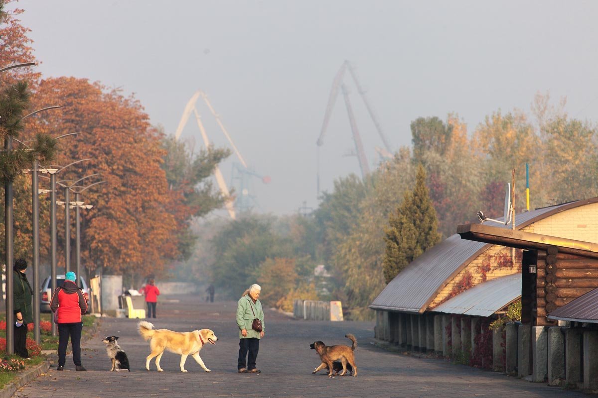 Необычная погода: Днепр окунулся в туман 7